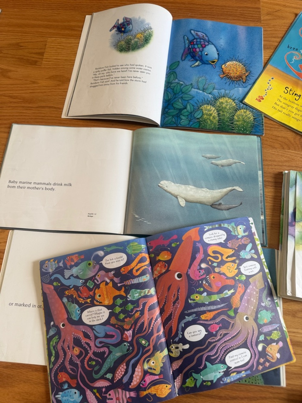 Lot of 13 Under the sea books - fish, mammals, Octonauts - Picture 7 of 7